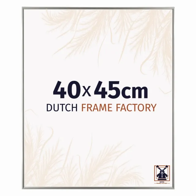 Dutch Frame Factory Fotolijst 40x45 cm - Kunststof - Champagne - Easy