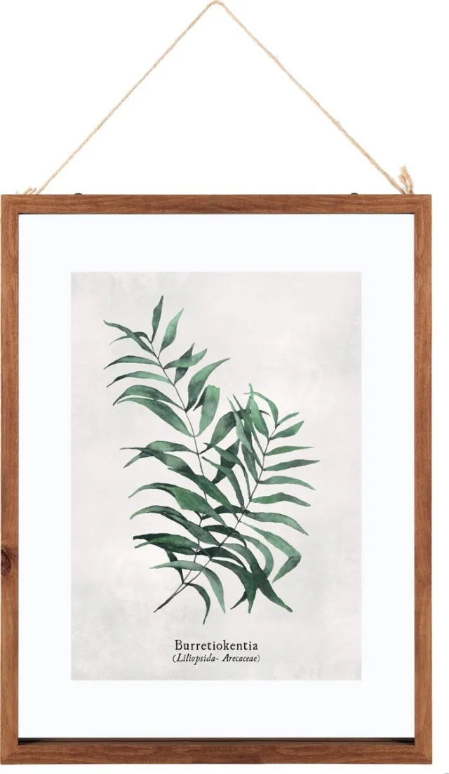 Atmosphera Créateur d'intérieur® Glazen Frame Met Botanische Illustratie Burret - Poster Plant - Print Tekening met Lijst - 38x48 cm Multicolour