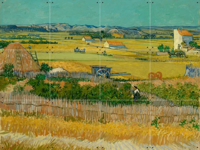 IXXI De oogst (1888), Vincent van Gogh (1853 - 1890) & Van Gogh Museum - 80 x 60 cm - Grote wanddecoratie en posters - Klassiek, Olieverf Geel