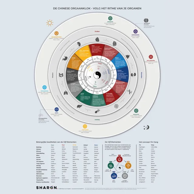 Sharon van Engelen Chinese Orgaanklok & Vijf Elementen - Educatieve TCM Poster - A2 Formaat - 42 x 59,4 cm licht grijs rood geel groen blauw