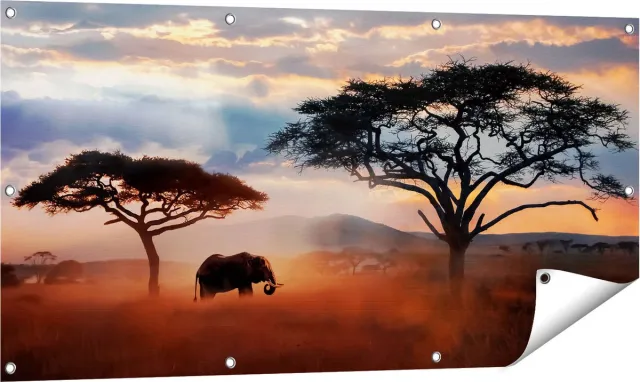 Gards Tuinposter Olifant in het Wild - Savanne - 120x60 cm - Tuindoek - Tuindecoratie - Wanddecoratie buiten - Tuinschilderij Multikleur