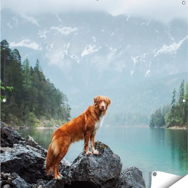 Gards Tuinposter Retriever Hond bij het Water in de Bergen - 100x100 cm - Tuindoek - Tuindecoratie - Wanddecoratie buiten - Tuinschilderij Multikleur