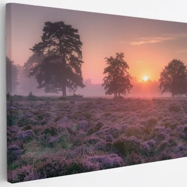 Saammp Canvas Schilderij - Lavendelveld met bomen en zonsondergang - Zonsondergang - Landschap - Natuur - 30x20 - Foto op canvas - Wanddecoratie - Muurdecoratie Woonkamer - Slaapkamer decoratie - Canvas Print Multicolor