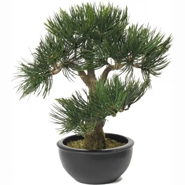 Bellatio Flowers & Plants Kunstplant Bonsai boompje - Pinus Deniflora - kunst kamerplant - 33 cm Groen