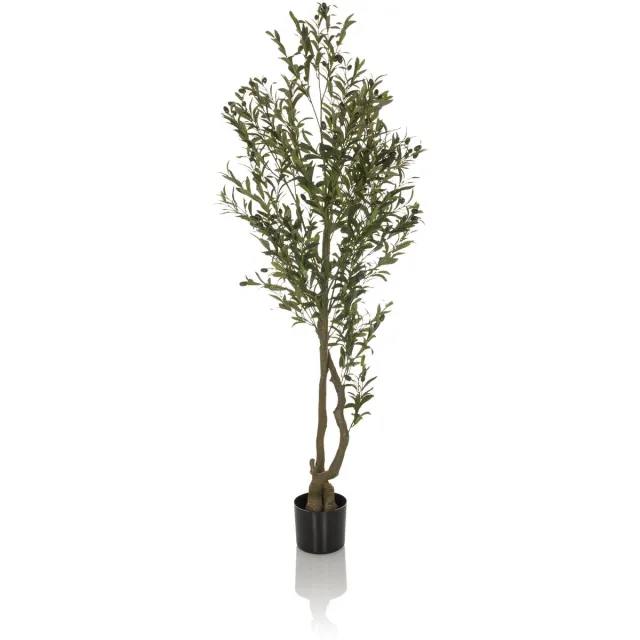 hjh office Kunstplant/kunstboom OLIVE I 172 cm groen hjh OFFICE