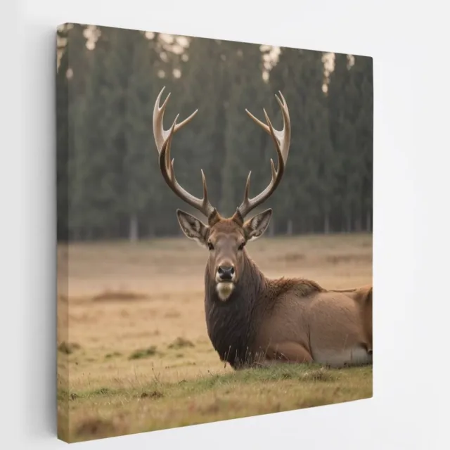 Saammp Canvas Schilderij - Liggend Hert in de wei - Natuur - Dieren - 60x60 - Foto op canvas - Wanddecoratie - Muurdecoratie Woonkamer - Slaapkamer decoratie - Canvas Print Multicolor
