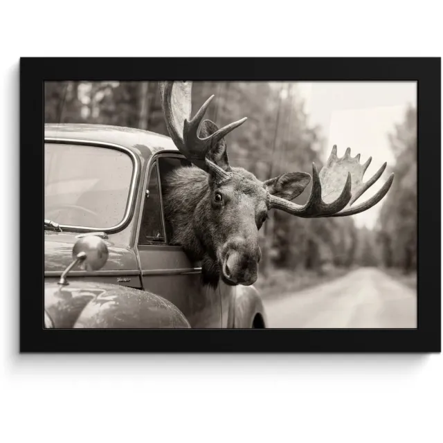 FrameYourWall Poster in lijst - Fotolijst 30x20 cm - Posters - Eland - Auto - Gewei - Zwart - Wit - Posterlijst zwart - Decoratie - Wanddecoratie woonkamer - Muurdecoratie slaapkamer