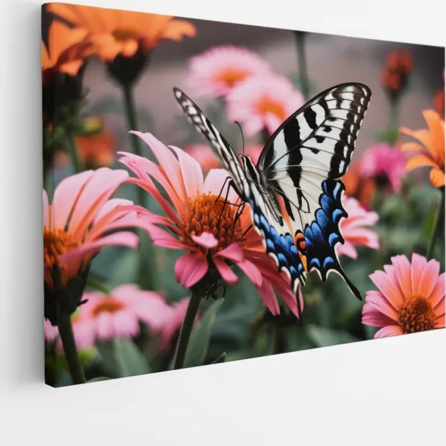 Saammp Canvas Schilderij -Vlinder op roze bloem - Dieren - 30x20 - Foto op canvas - Wanddecoratie - muurdecoratie Woonkamer - Slaapkamer decoratie - Canvas Print Multicolor