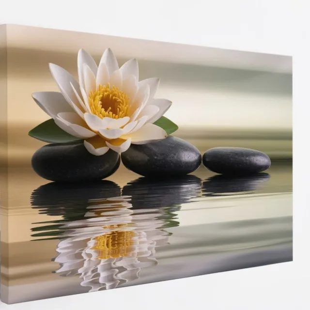 Saammp Canvas Schilderij - Lotusbloem op steen - Landschap - Natuur - 60x40 - Foto op canvas - Wanddecoratie - Muurdecoratie Woonkamer - Slaapkamer decoratie - Canvas Print Multicolor