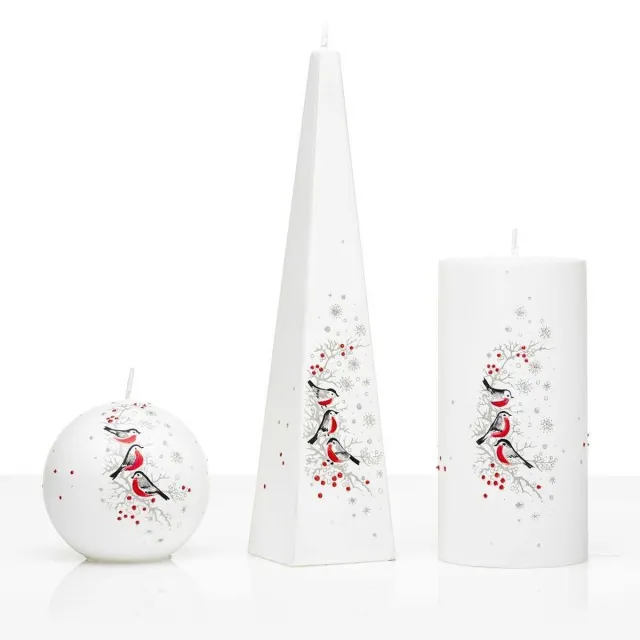 Jakelis Kaarsen - Set Handgeschilderd - winter - vogels - kerst - kaars - kerstverlichting wit