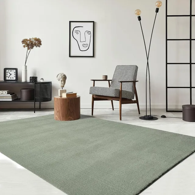 the carpet RELAX – Extra Zacht & Wasbaar Vloerkleed tot 30°C met Antislip – Fluweelachtige Structuur – Groen – 200 x 280 cm