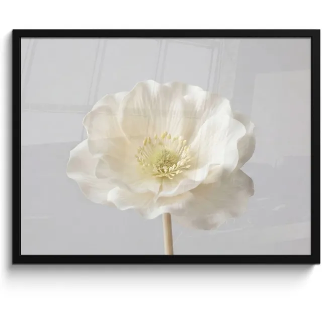 FrameYourWall Poster in lijst - Fotolijst 70x50 cm - Posters - Bloem - Minimalistisch -Wit - Posterlijst zwart - Decoratie - Wanddecoratie woonkamer - Muurdecoratie slaapkamer