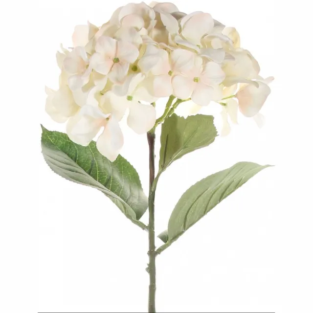 Driesprong Collection Single hydrangea 68 cm cream