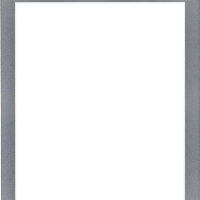 Dutch Frame Factory Fotolijst 35x45 cm - MDF - Aluminium Geborsteld - Colonia