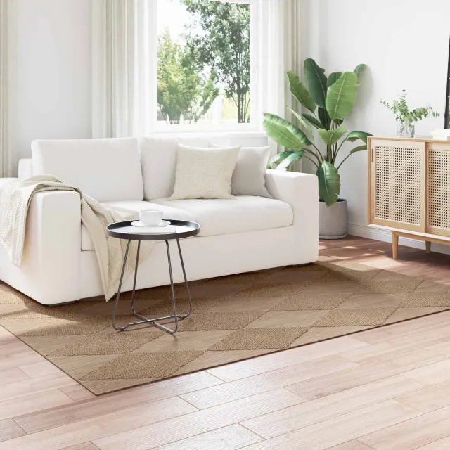 vidaXL Binnen- en buitentapijt AGIRA Naturel 230 x 160 cm Polyester, foto 2