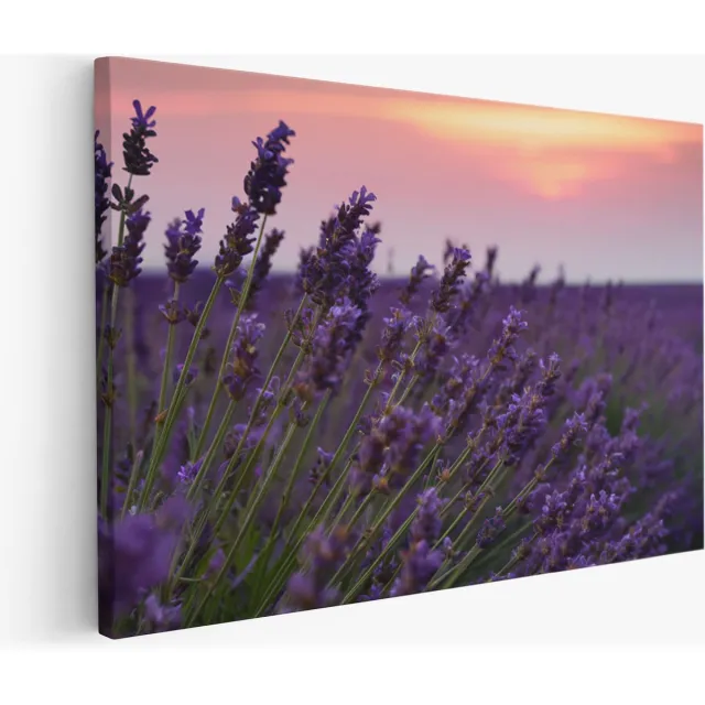 Saammp Muurcirkel Hout - Witte Bloemen in een mooie vaas - Stilleven - Abstract - Ø 90 - Wandcirkel - Wanddecoratie Cirkel - Muurdecoratie Woonkamer - Woonkamer Decoratie