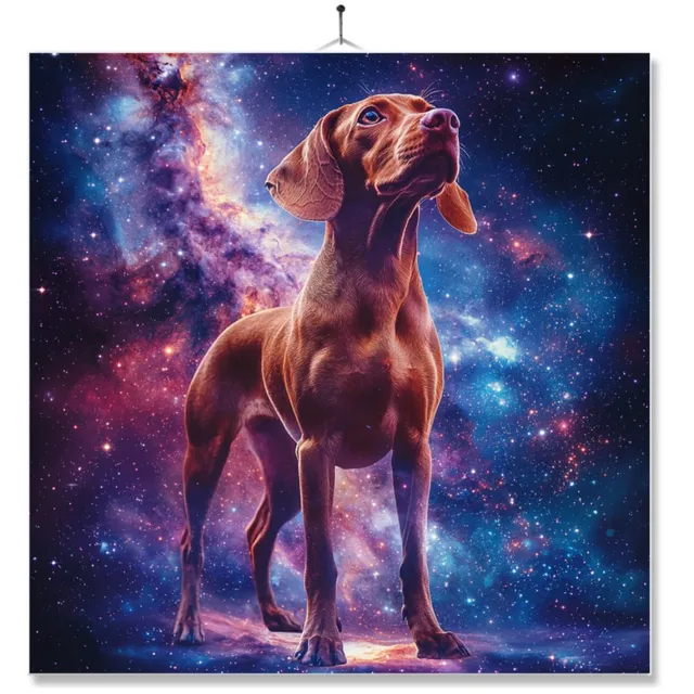 MC Living Tegel Met Opdruk | Galaxy | Vizsla Ontwerp 2