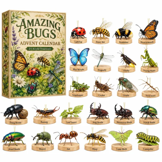 SWGOTA Adventskalender met 24 insectenornamenten, vlinder- en rupsthema, genummerde vakjes, verpakking 26 x 18 x 3 cm Blauw