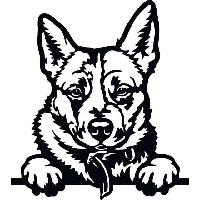 Alleenmaarstickers.com 6 Raamstickers / autostickers Australian shepherd - transparante zelfklevende sticker - 1 x 35cm, 1 x 25cm en 4 x 15cm, uitgesneden sticker - honden sticker - zwarte opdruk