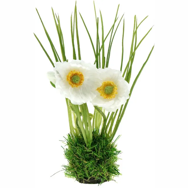 Viana Papaverwit in het gras 23cm