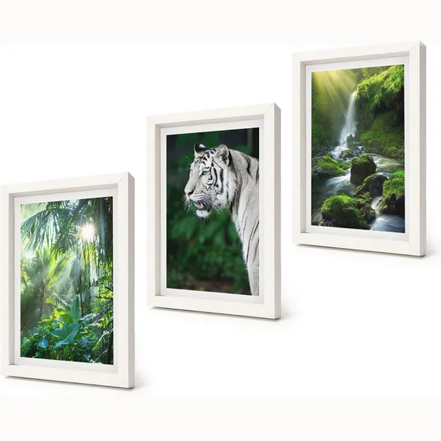 Coloray 3-Delige Schilderij Set - Jungle met een witte tijger en een wilde waterval - 20x30 - Wanddecoratie - Moderne Interieurdecoratie - Woonkamer Decoratie Witte lijst