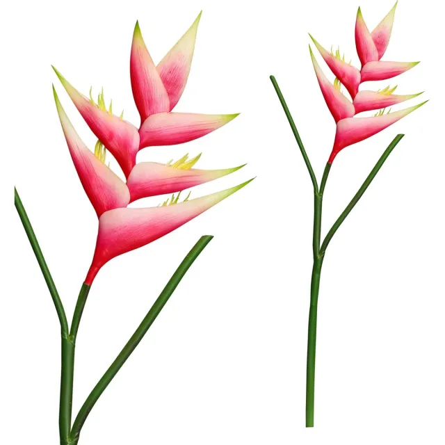 PTMD Garden Bloem Heliconia Kunstbloem - 36 x 18 x 86 cm - Roze