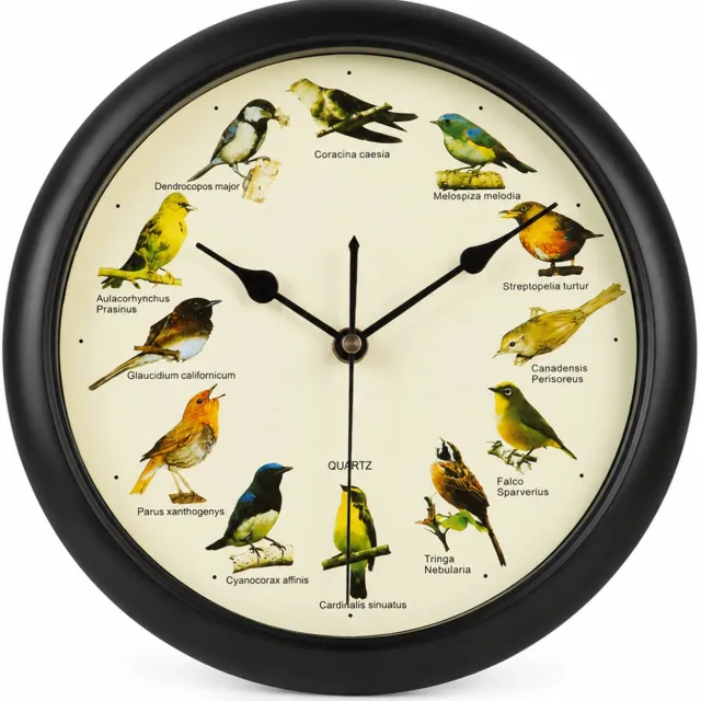 SWGOTA Zwarte ronde wandklok met 12 vogelgeluiden, Engelse uitvoering, 25 x 25 x 4 cm, uursignaal en nachtelijke stiltefunctie