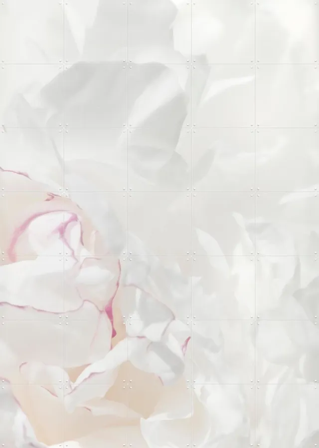 IXXI Peony 21, 1x Studio II & Various - 100 x 140 cm - Grote wanddecoratie en posters - Modern, Minimalisme, Realisme, Abstract, Trap, Gang Wit / Roze