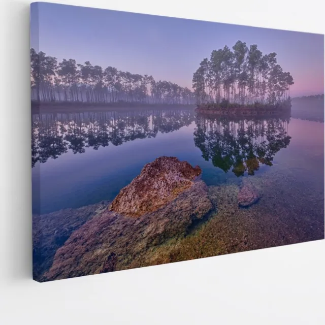 Saammp Canvas Schilderij -Bos - Zonlicht - Zomer - Landschap - Natuur - 100x75 - Foto op canvas - Wanddecoratie - Muurdecoratie Woonkamer - Slaapkamer decoratie - Canvas Print Multicolor