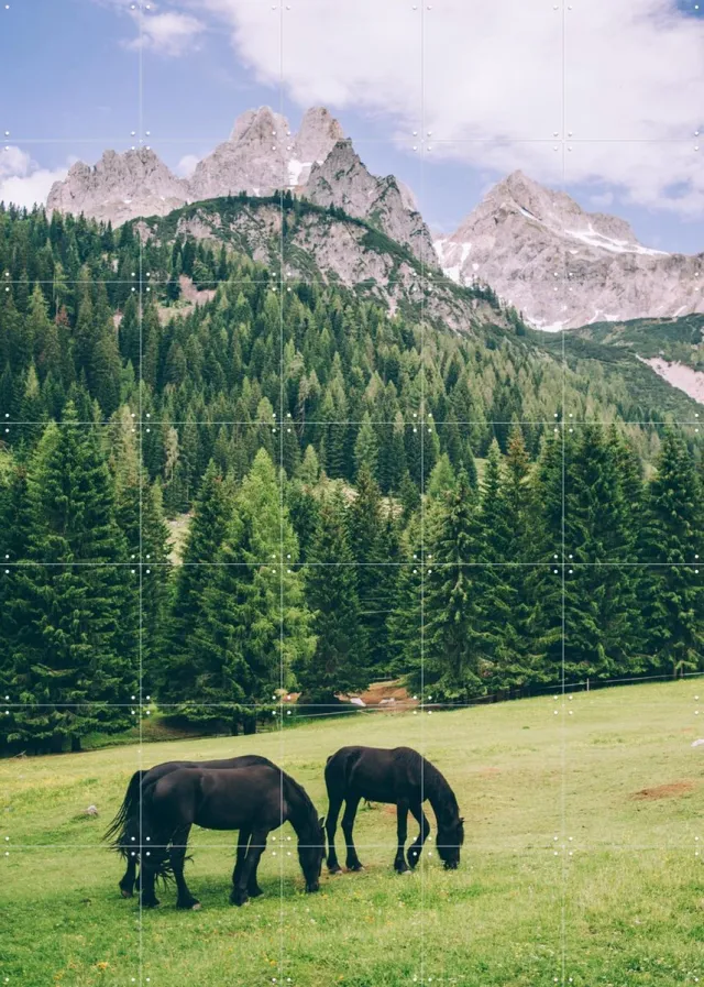IXXI Friesian Horses in Alps, Pati Photography - 100 x 140 cm - Grote wanddecoratie en posters - Naturalisme, Fotografie, Kleurrijk, Woonkamer Groen