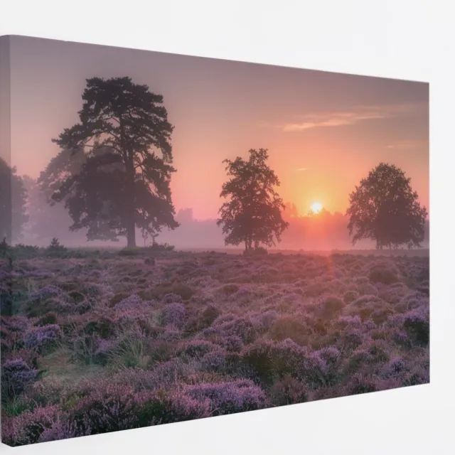 Saammp Canvas Schilderij - Lavendelveld met bomen en zonsondergang - Zonsondergang - Landschap - Natuur - 50x40 - Foto op canvas - Wanddecoratie - Muurdecoratie Woonkamer - Slaapkamer decoratie - Canvas Print Multicolor