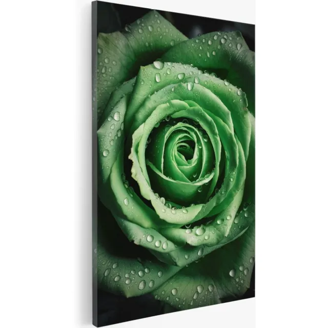 Saammp Canvas Schilderij - Grote Groene Roos - Natuur - Bloemen - 50x70 - Foto op canvas - Wanddecoratie - Muurdecoratie Woonkamer - Kantoor Decoratie Multicolor