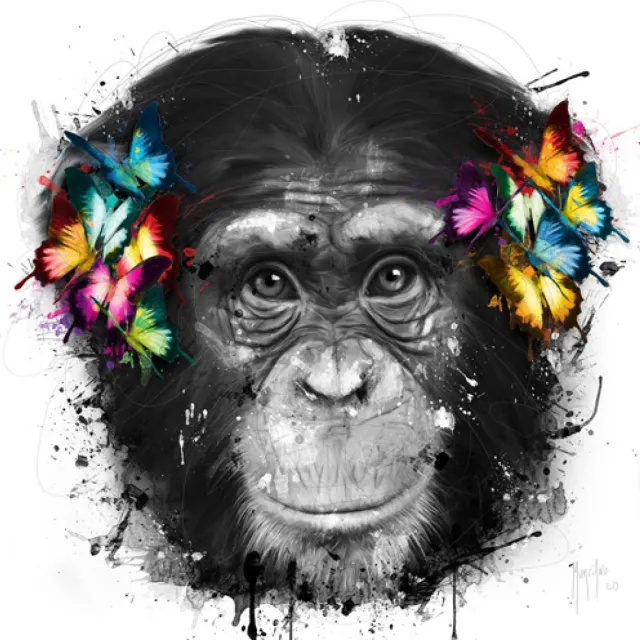 International Graphics poster op canvas Patrice Murciano - Don't hear 40 x 40 cm diverse kleuren