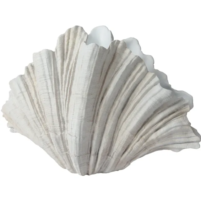 Decoris Vaas - Grillige bladvorm - Off-white - H36 cm
