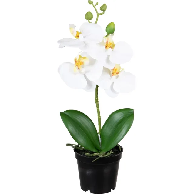 Louis Maes Orchidee bloemen kunstplant op plug - bloemen/bloemetjes - wit/groen - H33 cm - Kamer/kantoor/badkamer