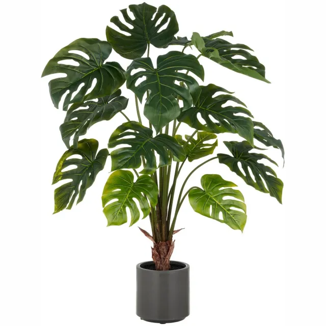 Gasper Split Philodendron groen 100 cm