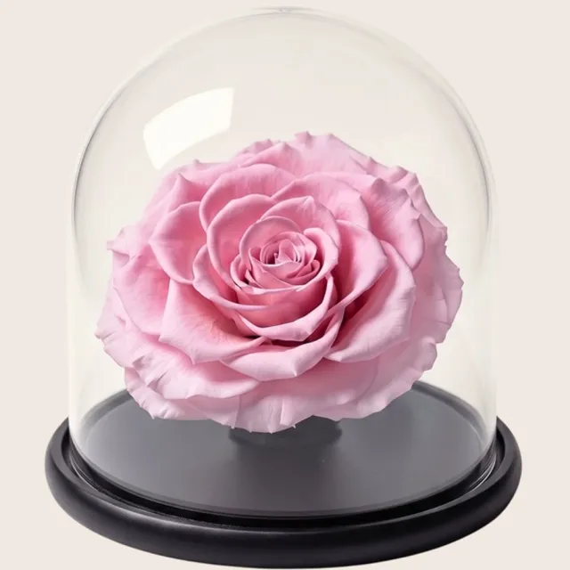 RoseAmor Mini Longlife Roos onder Glazen Stolp 13,5 cm – Echte Houdbare Roos – Lichtroze – Cadeau voor Haar