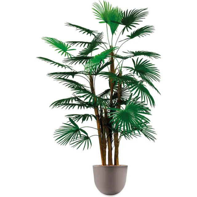 HTT Decorations HTT - Kunstplant Rhapis palm in Eggy taupe H125 cm