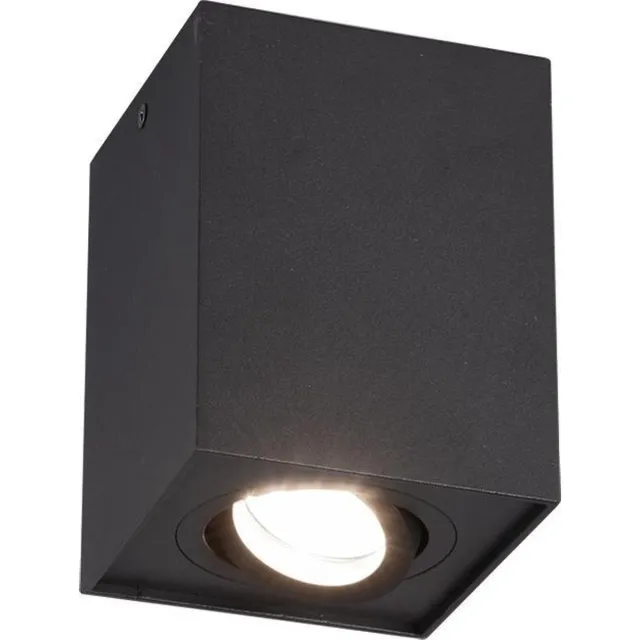 Trio BISCUIT - Plafondlamp - Zwart mat - excl. 1x GU10 35W mat zwart