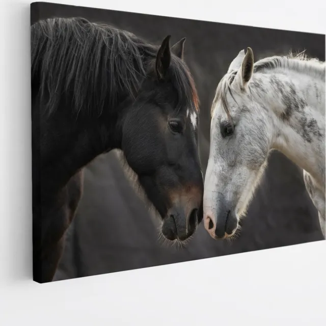 Saammp Canvas Schilderij - 2 Paarden - Liefdevol - Dieren - Natuur - 50x40 - Foto op canvas - Wanddecoratie - muurdecoratie Woonkamer - Slaapkamer decoratie - Canvas Print Multicolor