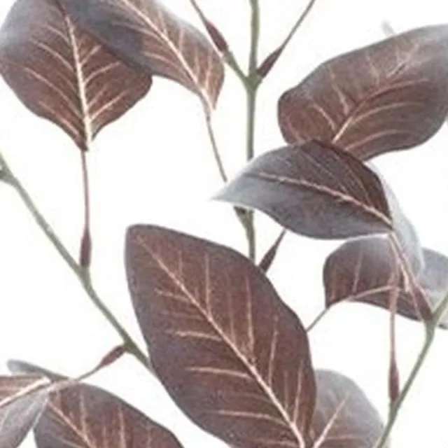 Erutan avon Flocked eucalyptus spray brown 72 cm onbekend