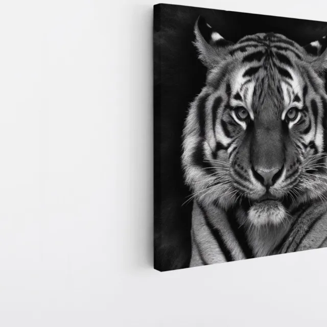 Saammp Canvas Schilderij - Tijger Portret - Abstract - Dieren - 100x100 - Foto op canvas - Wanddecoratie - muurdecoratie Woonkamer - Slaapkamer decoratie - Canvas Print Multicolor