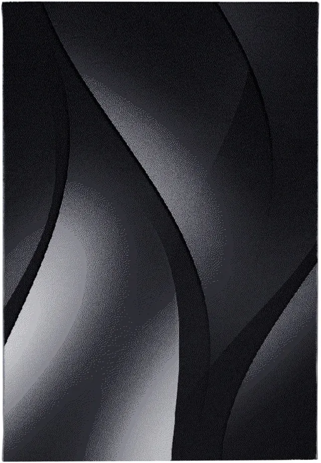 Plus Vloerkleed – Zwart – Golvend 3D Design – Laagpolig – 240x340 cm