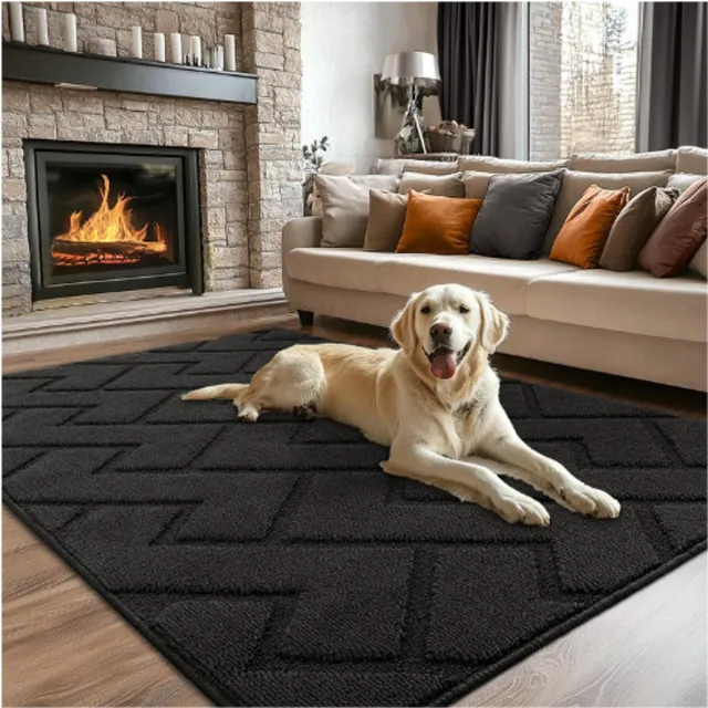 BISCPRO Deurmatten voor binnen, Duitse stijl, antislip, machinewasbaar, waterabsorberend, voordeur, gang, entree, keuken, slaapkamer - 50x80cm BRUIN