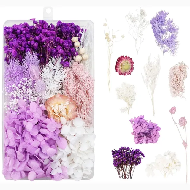 Famanu Gedroogde bloemen voor decoratie en knutselen, realistische en gekleurde bloemen