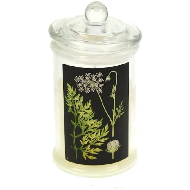 Meander Glass jar with Candle lid, flute herb Ø7,5x16cm rose Zie foto