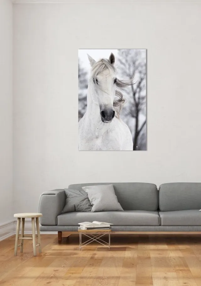 Fine Asianliving Wit Paard In De Wind Digitale Print 80x120cm Veiligheids Glas Multicolour