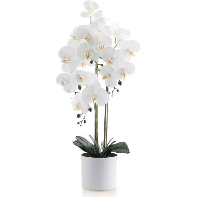 Meisterhome Kunstorchidee 80 cm – Realistische Phalaenopsis Orchidee – Bloeiende Kunstplant – Onderhoudsvrij – Witte Bloemen – Luxe Kamerplant in Pot