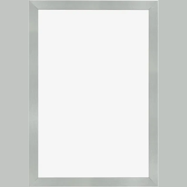 Dutch Frame Factory Fotolijst 50x75 cm - MDF - Aluminium Geslepen - Benno