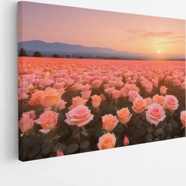 Saammp Canvas Schilderij - Landschap - Roze Bloemenveld - Natuur - 70x50 - Foto op canvas - Wanddecoratie - Muurdecoratie Woonkamer - Slaapkamer decoratie - Canvas Print Multicolor
